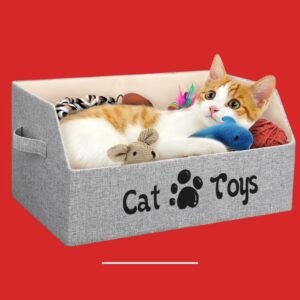 Custom Printed Cat Toy Packaging Boxes
